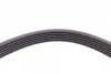 Поліклиновий ремінь (6PK1840) MAZDA 2, 3 OPEL ZAFIRA C TOYOTA COROLLA 1.3-2.0D 08.99-05.19 Contitech 6 PK 1840 (фото 4)
