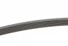 Поліклиновий ремінь (6PK1845) VOLVO S80 II, V70 III ALFA ROMEO 145, 146, 147, 155, 156, GT FIAT BARCHETTA, BRAVA, BRAVO I, COUPE, MAREA, PALIO, PUNTO, STRADA FORD MONDEO IV 1.4-2.0D 04.95- Contitech 6 PK 1845 (фото 2)
