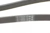 Ремінь генератора Toyota Corolla 1.6/1.8 04-09/BMW 3 (E46/E90)/X1 (E84) 1.6/2.0 01-15 CONTINENTAL Contitech 6PK1870 (фото 3)