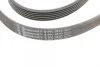 Ремінь генератора Toyota Corolla 1.6/1.8 04-09/BMW 3 (E46/E90)/X1 (E84) 1.6/2.0 01-15 CONTINENTAL Contitech 6PK1870 (фото 4)