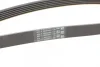 Ремінь генератора Audi A4/A6/A8 2.4/2.6/2.8 95- CONTINENTAL Contitech 6PK1880 (фото 3)