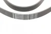 Ремінь генератора Audi A4/A6/A8 2.4/2.6/2.8 95- CONTINENTAL Contitech 6PK1880 (фото 4)