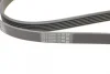 Ремінь генератора VW T4 2.0i 91-03/Opel Vectra 2.2 98-05/Toyota Avensis 1.6/1.8 00-03 CONTINENTAL Contitech 6PK1900 (фото 3)