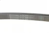 Ремінь генератора VW Crafter 2.5TDI 06-13/MB C-class (W204)/E-class (W212) 2.2CDI 09-15 CONTINENTAL Contitech 6PK2000 (фото 4)