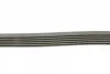 Ремінь генератора MB C-class 2.0 00-02 (M111) CONTINENTAL Contitech 6PK2035 (фото 2)