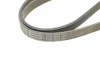 Ремінь генератора MB C-class 2.0 00-02 (M111) CONTINENTAL Contitech 6PK2035 (фото 3)