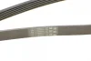Ремінь генератора MB C-class 2.0 00-02 (M111) CONTINENTAL Contitech 6PK2035 (фото 4)