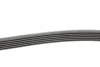 Ремінь генератора MB C-class (W202) 93-01/E-class (W124) 93-98/Ssangyong Korando 96-06/Dodge 06- CONTINENTAL Contitech 6PK2040 (фото 2)