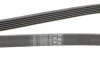 Ремінь генератора MB C-class (W202) 93-01/E-class (W124) 93-98/Ssangyong Korando 96-06/Dodge 06- CONTINENTAL Contitech 6PK2040 (фото 3)