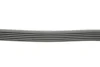 Поліклиновий ремінь (6PK2094) CHEVROLET CRUZE, EPICA, LACETTI, NUBIRA HONDA CIVIC IX 1.6/1.8/2.0D 01.05- Contitech 6 PK 2094 (фото 2)