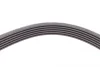 Ремінь генератора MB C-class (W203) 00-02/E-class (W212) 11-15/S-class (W221) 11-13/Sprinter 2.9 CONTINENTAL Contitech 6PK2135 (фото 4)