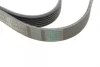 Ремінь генератора VW LT 2.5TDI 96-06/Jeep Cherokee/Wrangler 2.4 01-08/BMW 5 (F10/F07/F11) 3.0D 10-17 CONTINENTAL Contitech 6PK2145 (фото 3)