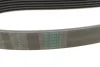 Ремінь генератора MB C-class (W202/W204)/E-class (W210/W212)/S-class (W221) 1.8/2.2 94-14 CONTINENTAL Contitech 6PK2155 (фото 3)