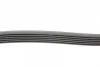 Ремінь генератора MB C-class (W203) 00-08 Contitech 6PK2190 (фото 2)