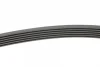 Ремінь генератора VW T4 2.5TDI/LT 2.3 96-06/MB C-class (W204) 3.5 11-/V-class (W639) 2.2CDI 10- CONTINENTAL Contitech 6PK2215 (фото 2)