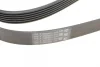 Ремінь генератора VW T4 2.5TDI/LT 2.3 96-06/MB C-class (W204) 3.5 11-/V-class (W639) 2.2CDI 10- CONTINENTAL Contitech 6PK2215 (фото 3)