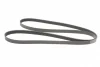 Ремінь генератора VW T4 2.5TDI/LT 2.3 96-06/MB C-class (W204) 3.5 11-/V-class (W639) 2.2CDI 10- CONTINENTAL Contitech 6PK2215 (фото 5)