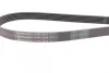 Ремінь генератора VW T4 2.5 90-03/Ford Fiesta/Mondeo 1.8/2.0 00-08/Jeep Cherokee 3.7 01-08 CONTINENTAL Contitech 6PK2225 (фото 2)