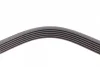 Ремінь генератора VW T4 2.5 90-03/Ford Fiesta/Mondeo 1.8/2.0 00-08/Jeep Cherokee 3.7 01-08 CONTINENTAL Contitech 6PK2225 (фото 3)