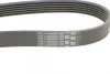 Поліклиновий ремінь (6PK2250) MERCEDES C (CL203), C T-MODEL (S203), C (W203), E (W211), G (W463) JEEP WRANGLER II MAZDA 6, MX-5 III SSANGYONG ACTYON I, KORANDO, RODIUS I 1.8-4.0 08.96- Contitech 6 PK 2250 (фото 3)