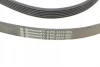 Ремінь генератора Mazda 6 2.3 02-07/CX-7 2.5MZR 09-13/Jaguar XF/XJ 3.0D 09-/Saab 900 II 2.5 93-98 CONTINENTAL Contitech 6PK2310 (фото 3)