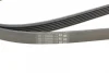 Ремінь генератора Mazda 6 2.3 02-07/CX-7 2.5MZR 09-13/Jaguar XF/XJ 3.0D 09-/Saab 900 II 2.5 93-98 CONTINENTAL Contitech 6PK2310 (фото 4)