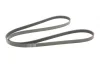 Ремінь генератора Mazda 6 2.3 02-07/CX-7 2.5MZR 09-13/Jaguar XF/XJ 3.0D 09-/Saab 900 II 2.5 93-98 CONTINENTAL Contitech 6PK2310 (фото 5)