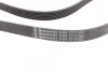 Ремінь генератора MB W202/210 M112/113 97- (WP,PS) CONTINENTAL Contitech 6PK2315 (фото 2)