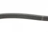 Ремінь генератора MB W124/S124 M104 -96 CONTINENTAL Contitech 6PK2330 (фото 2)