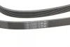 Ремінь генератора Audi A4/A6/A8/Q7 2.7/3.0TDI 04- CONTINENTAL Contitech 6PK2490 (фото 3)