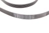 Ремінь генератора поліклиновий CONTINENTAL Contitech 6PK2498 (фото 3)