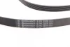 Ремінь генератора MB S-class (W221/W222)/E-class (W212) 4.7-5.5 11-17/Porsche Macan 3.0-3.6 14- CONTINENTAL Contitech 6PK2528 (фото 2)