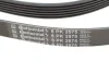 Ремінь генератора VW Amarok/Kia Sorento/Fiat Freemont 2.0/2.4/2.4 CVVT/3.0TDI 09- CONTINENTAL Contitech 6PK2575 (фото 4)