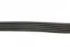Поліклиновий ремінь (6PK691) MERCEDES G (W461), SPRINTER 3,5-T (B906), SPRINTER 3,5-T (B907), SPRINTER 3,5-T (B907, B910), SPRINTER 3-T (B906), SPRINTER 4,6-T (B906) 1.8-3.0D 01.03- Contitech 6 PK 691 ELAST (фото 2)