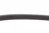 Ремінь генератора VW Caddy III 1.4/1.6 04-/Golf/Polo 1.2/1.4TSI 12-/Audi A3 1.2/1.4TFSI 13- CONTINENTAL Contitech 6PK737 (фото 3)