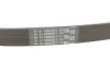 Поліклиновий ремінь (6PK745) AUDI A1, A2, A3, Q3 CITROEN C15 CUPRA ATECA LADA 110, 111, 112, KALINA, PRIORA SEAT ARONA, ATECA, IBIZA III, IBIZA IV, IBIZA IV SC, IBIZA IV ST 1.0-1.9D 10.99- Contitech 6 PK 745 (фото 3)