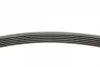 Поліклиновий ремінь (6PK780) LAND ROVER DEFENDER, DISCOVERY V, RANGE ROVER IV, RANGE ROVER SPORT II SEAT CORDOBA, IBIZA III SKODA FABIA I, FABIA I PRAKTIK, FABIA II, ROOMSTER 1.0-3.0H 04.99- Contitech 6 PK 780 (фото 2)