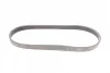 Поліклиновий ремінь (6PK799) AUDI A1, A3, A4 ALLROAD B9, A4 B9, Q3, TT SEAT ARONA, ATECA, IBIZA V, LEON, LEON SC, LEON ST, TOLEDO IV SKODA KAMIQ, KAROQ, KODIAQ I, OCTAVIA III 1.4/1.6D/2.0D 11.09- Contitech 6 PK 799 ELAST (фото 5)