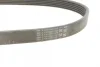 Поліклиновий ремінь (6PK802) SMART FORTWO 1.0 01.07- Contitech 6 PK 802 EXTRA (фото 2)