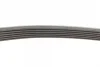 Поліклиновий ремінь (6PK802) SMART FORTWO 1.0 01.07- Contitech 6 PK 802 EXTRA (фото 4)