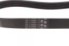 Ремінь генератора Ford Transit 2.0Di/TDCi 00- (-AC) Contitech 6PK831 ELAST (фото 2)
