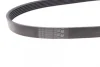 Ремінь генератора VW Golf VI/Caddy III 1.6-2.0 TDI 10-/Skoda Octavia 09-13/Audi A3 1.6/2.0TDI 03-13 CONTINENTAL Contitech 6PK842 ELAST (фото 2)