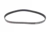 Ремінь генератора VW Golf VI/Caddy III 1.6-2.0 TDI 10-/Skoda Octavia 09-13/Audi A3 1.6/2.0TDI 03-13 CONTINENTAL Contitech 6PK842 ELAST (фото 5)