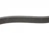 Ремінь генератора Citroen C1/Peugeot 107/Toyota Aygo 1.0 i 05-14 CONTINENTAL Contitech 6PK850 (фото 2)