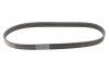 Фото 1 - ремінь генератора VW Crafter/T6 2.0 TDI 15- (6PK860) CONTINENTAL Contitech 6PK860 ELAST Ремінь генератора VW Crafter/T6 2.0 TDI 15- (6PK860) CONTINENTAL Contitech 6PK860 ELAST (фото 1)
