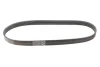 Ремінь генератора VW Crafter/T6 2.0 TDI 15- (6PK860) CONTINENTAL Contitech 6PK860 ELAST (фото 1)