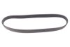 Фото 1 - ремінь генератора VW Crafter/T6 2.0 TDI 15- (6PK868) CONTINENTAL Contitech 6PK868 ELAST Ремінь генератора VW Crafter/T6 2.0 TDI 15- (6PK868) CONTINENTAL Contitech 6PK868 ELAST (фото 1)