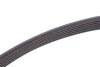 Фото 3 - ремінь генератора VW Crafter/T6 2.0 TDI 15- (6PK868) CONTINENTAL Contitech 6PK868 ELAST Ремінь генератора VW Crafter/T6 2.0 TDI 15- (6PK868) CONTINENTAL Contitech 6PK868 ELAST (фото 3)