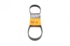 Поліклиновий ремінь (6PK869) AUDI A8 D5, Q7, Q8 CITROEN BERLINGO, JUMPY I, XSARA FIAT SCUDO PEUGEOT 206, 306, EXPERT, PARTNER PORSCHE CAYENNE, PANAMERA, PANAMERA SPORT TURISMO 1.9D-3.0H 03.86- Contitech 6 PK 869 (фото 1)