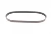 Поліклиновий ремінь (6PK869) AUDI A8 D5, Q7, Q8 CITROEN BERLINGO, JUMPY I, XSARA FIAT SCUDO PEUGEOT 206, 306, EXPERT, PARTNER PORSCHE CAYENNE, PANAMERA, PANAMERA SPORT TURISMO 1.9D-3.0H 03.86- Contitech 6 PK 869 (фото 5)